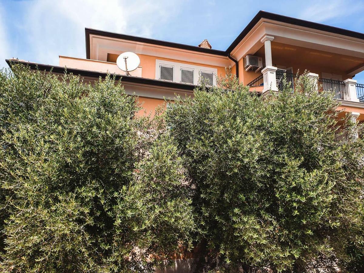 Apartment Dubravka *