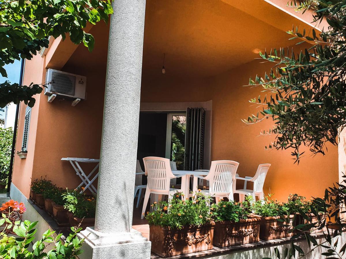 Dubravka Appartement *
